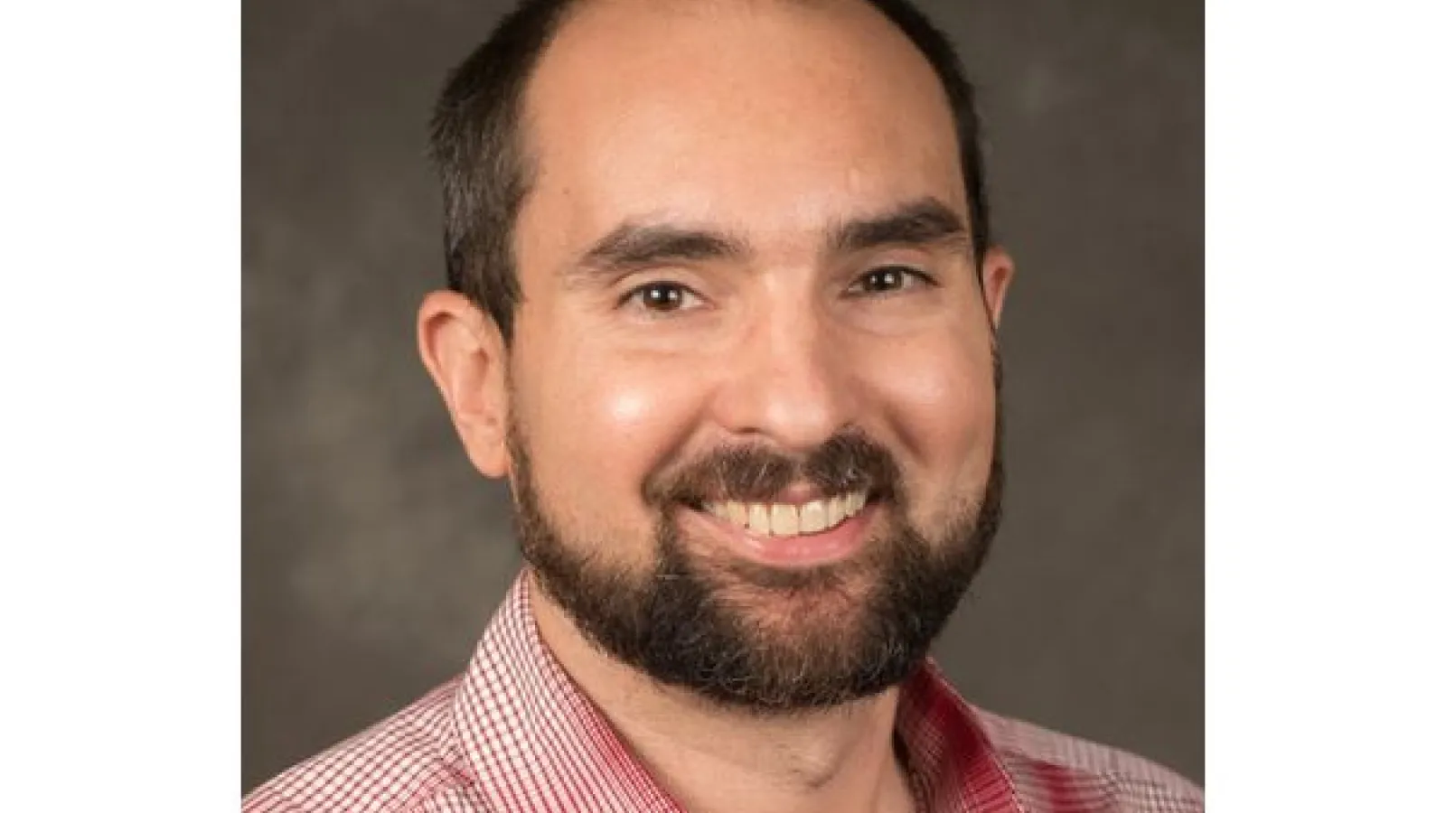 Prof Matt Hollander