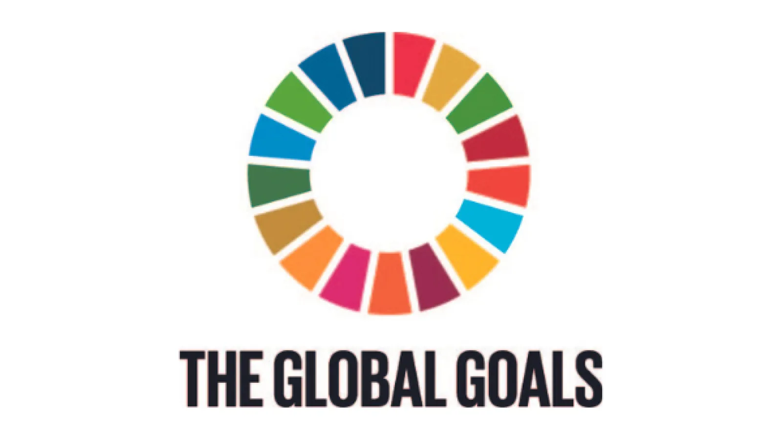 The Global Goals Logo