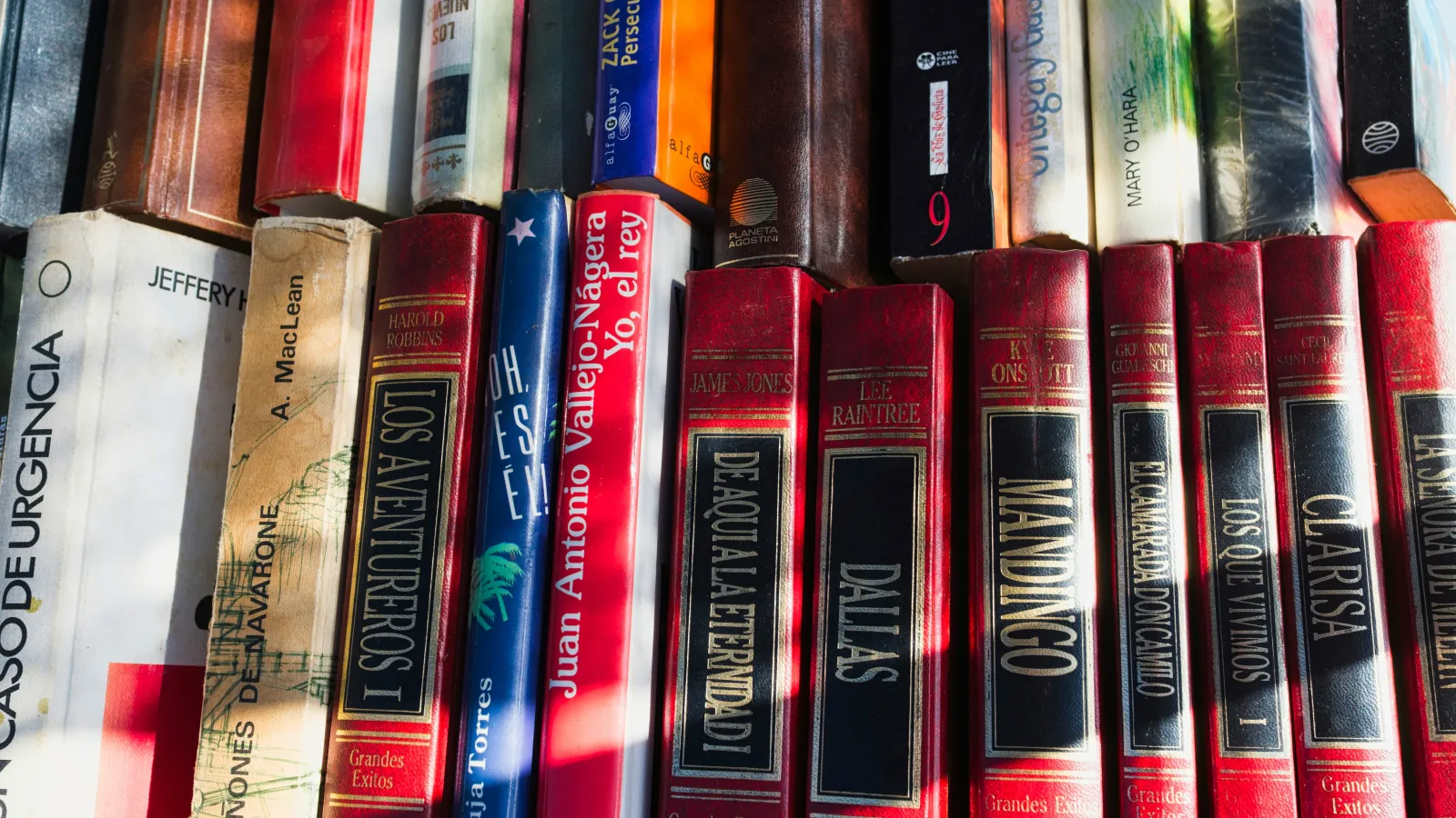 books in Spanish on a shelf