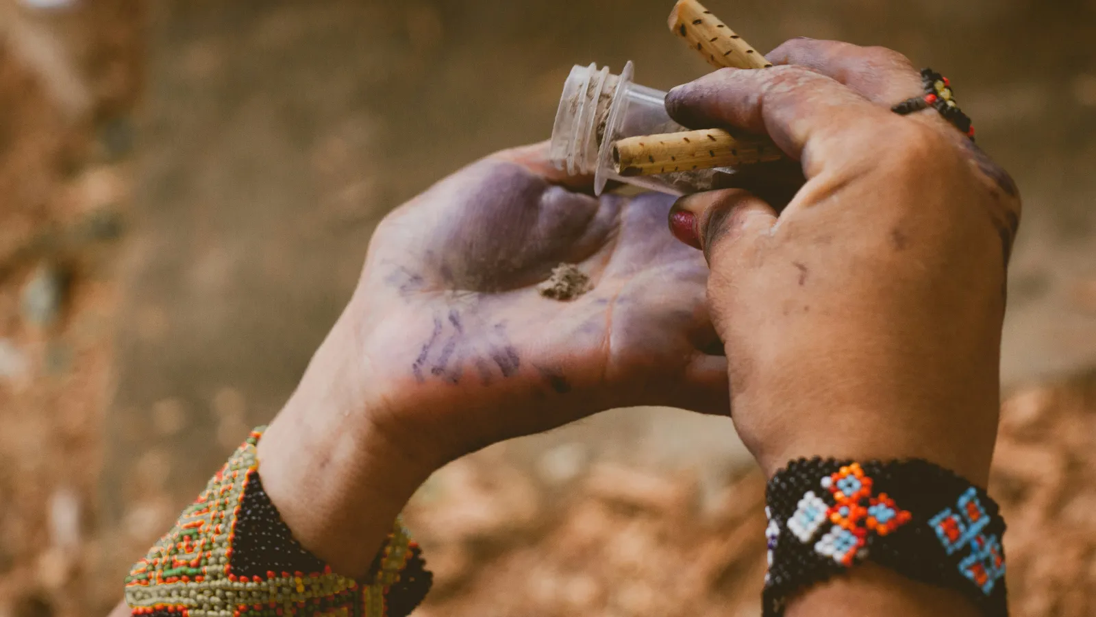 hand of indigenous person with bracelet handling medicinal herbs