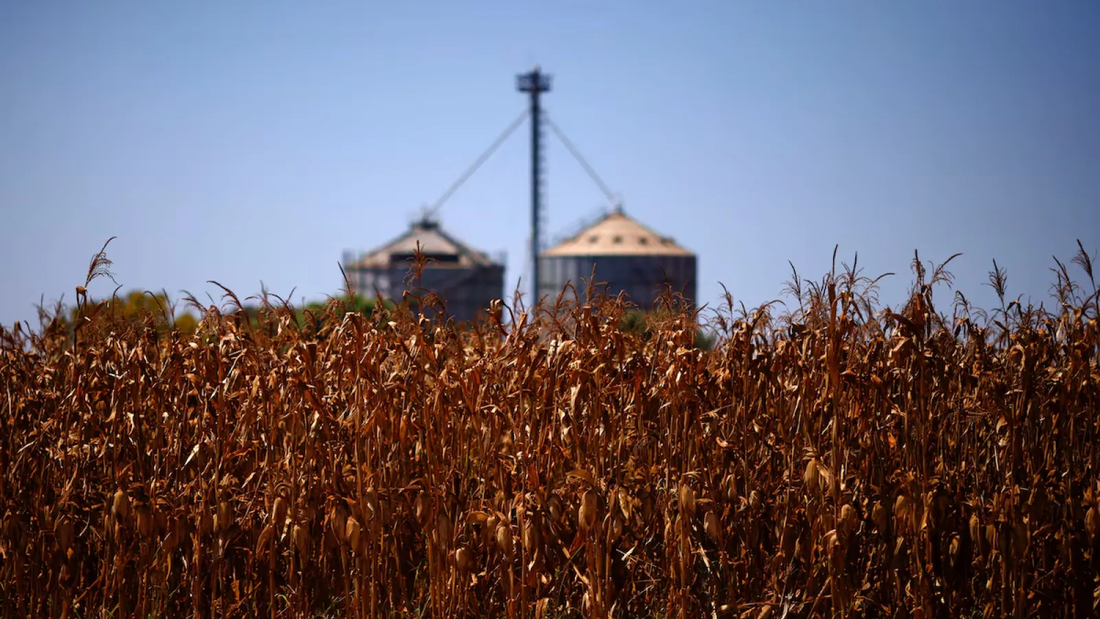 silos on a farm near Brasilia