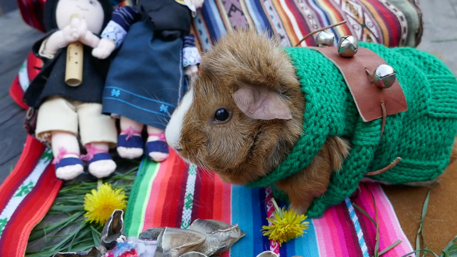 Meet Mishki, the MÁS ALLÁ mascot