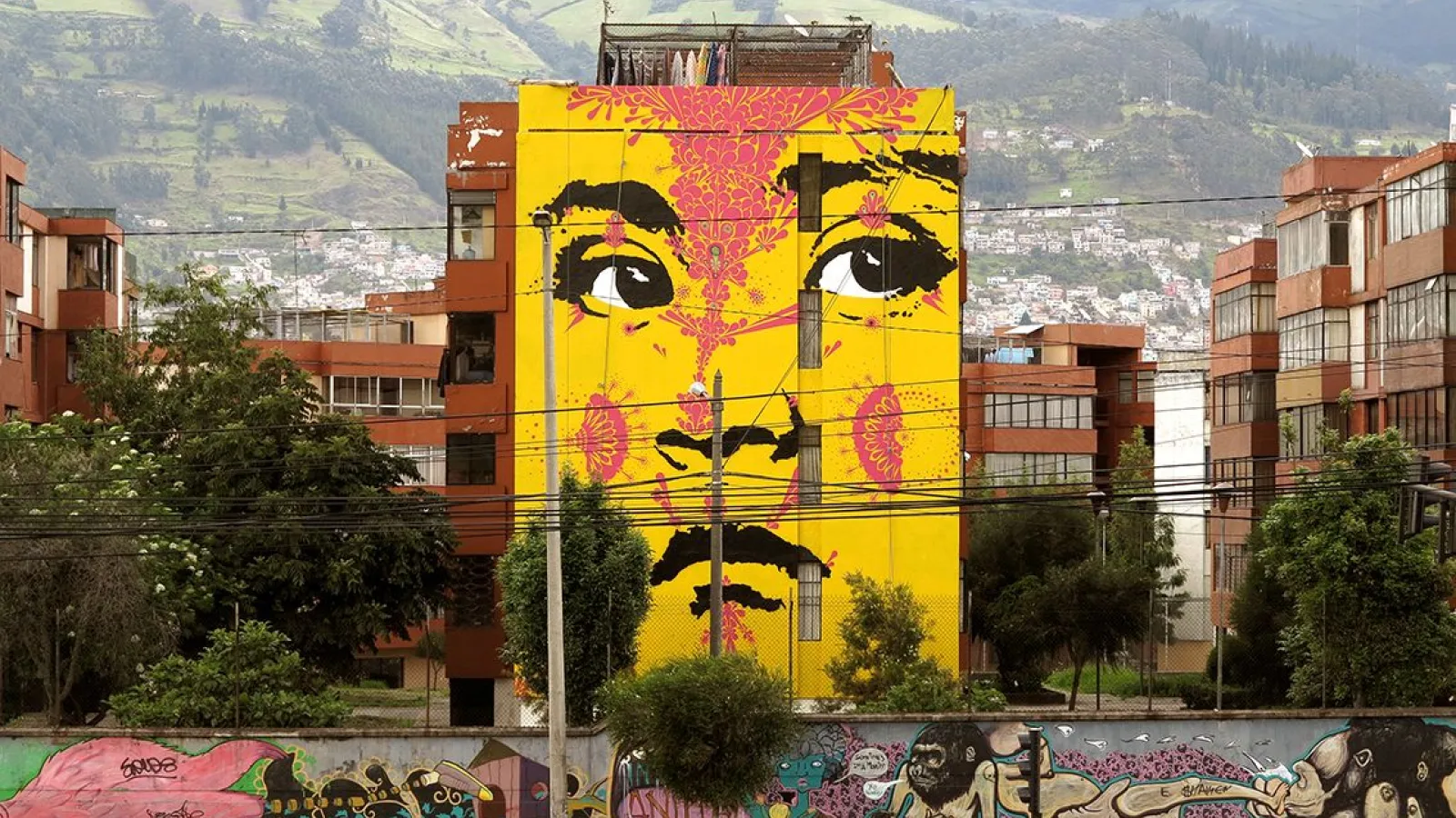 Graffiti art in Quito, Ecuador (Stinkfish)