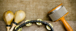 Andean instruments