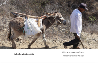 man and donkey walking