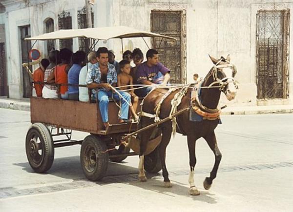 Cuban citizens resorting to horse-drawn carriage for transportation (1994) 