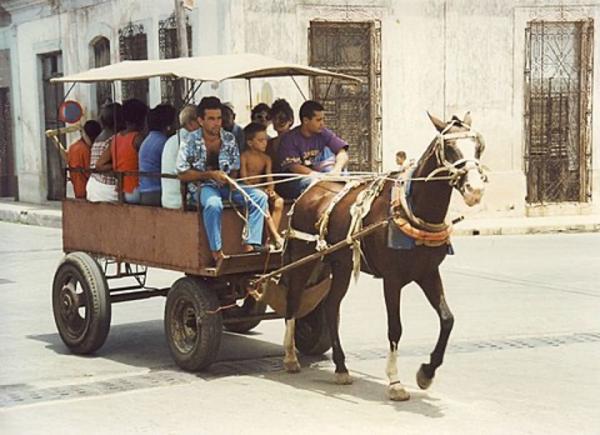 Cuban citizens resorting to horse-drawn carriage for transportation (1994)