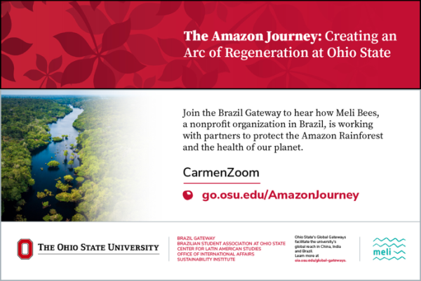 Amazon Journey: Meli Bees
