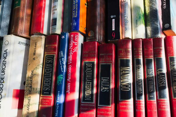books in Spanish on a shelf