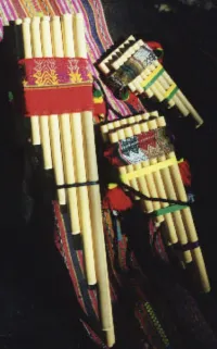 andeaninstrument